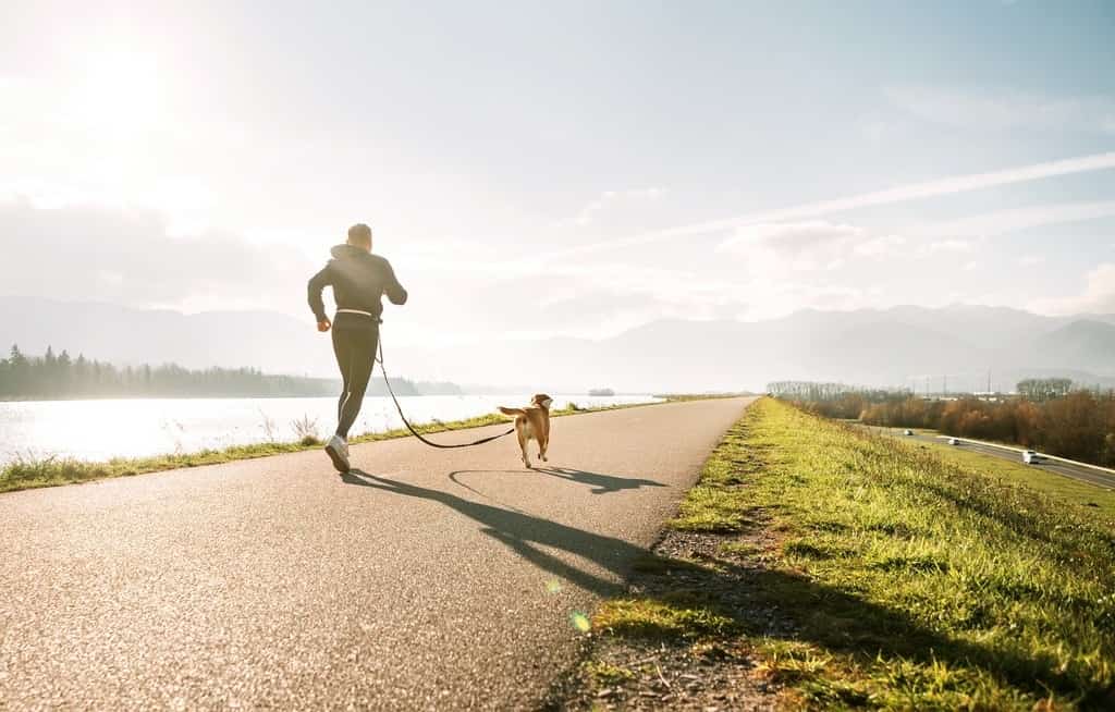 Fototapeta Jogging z Psem
