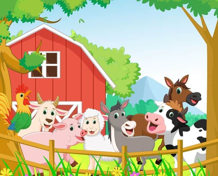 Fototapeta Wesoła Farma