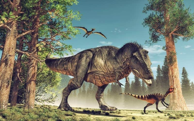 Fototapeta Dinozaury