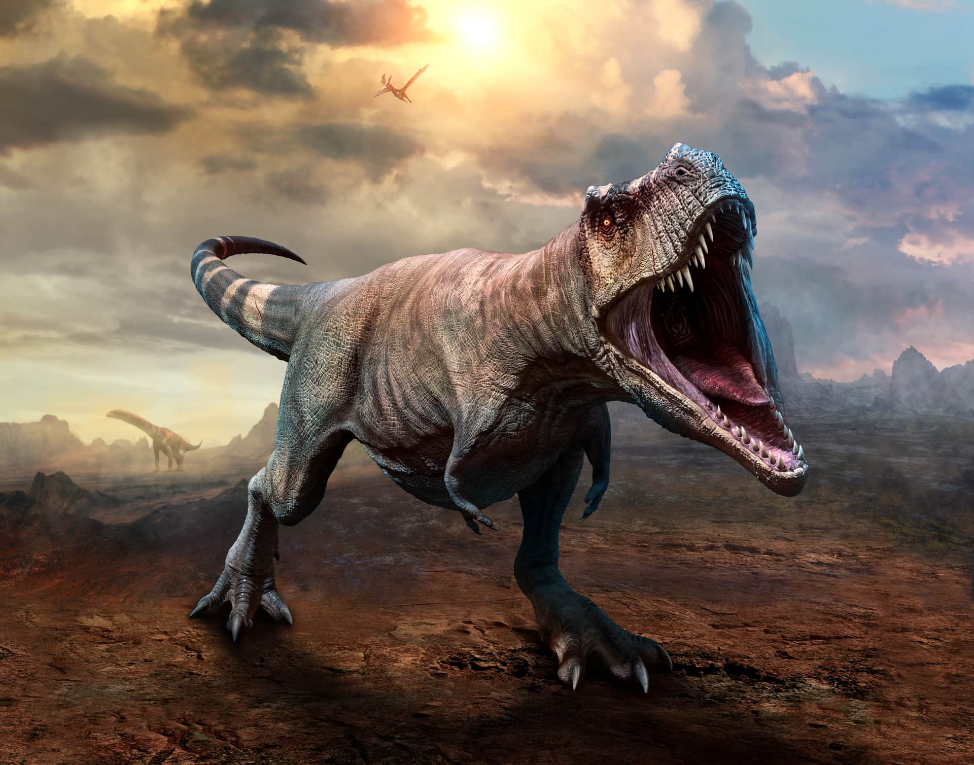 Fototapeta 3D Tyranozaur Rex