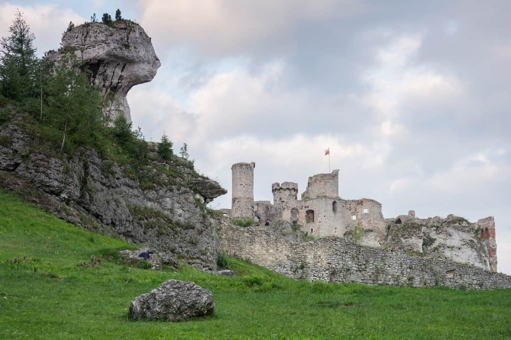 Fototapeta Zamek Ogrodzieniec