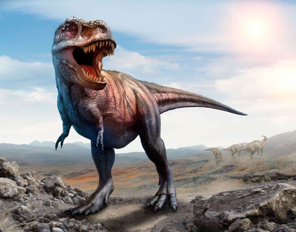 Fototapeta Samotny Dinozaur