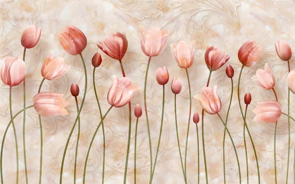 Fototapeta Kwitnące Tulipany