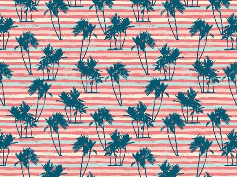 Fototapeta Kolaż z Palmami