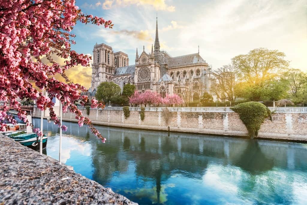Fototapeta Katedra Notre Dame