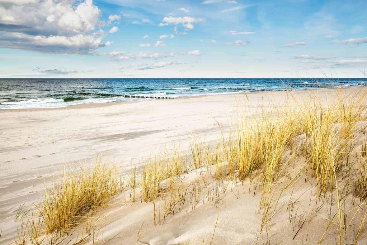 Fototapeta Złota Plaża