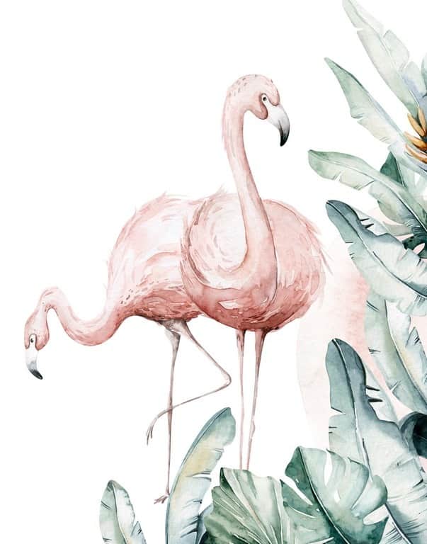 Fototapeta Flamingi w Dżungli