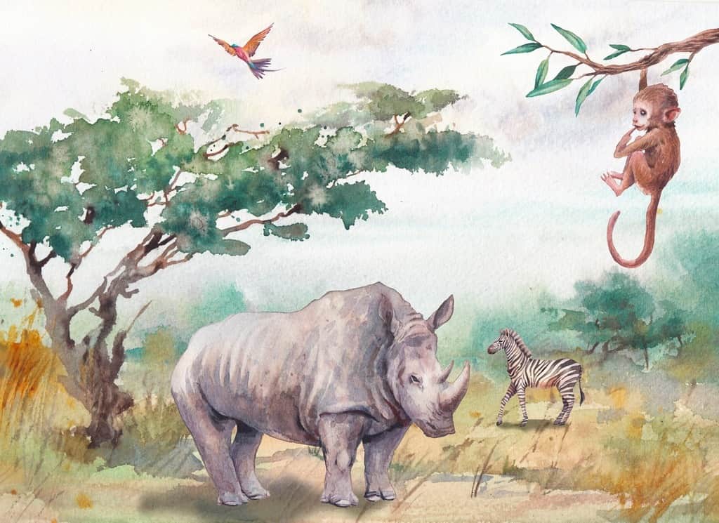 Fototapeta Zwierzęta Safari
