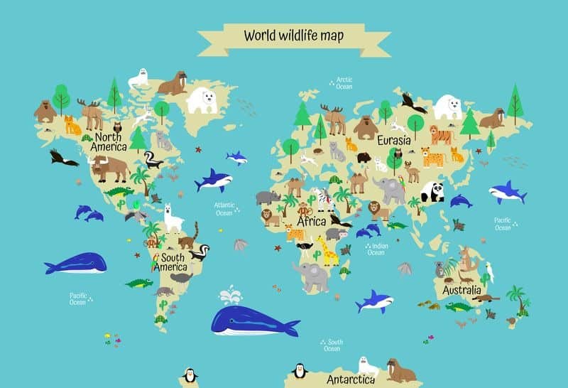 Fototapeta Dziecięca Mapa