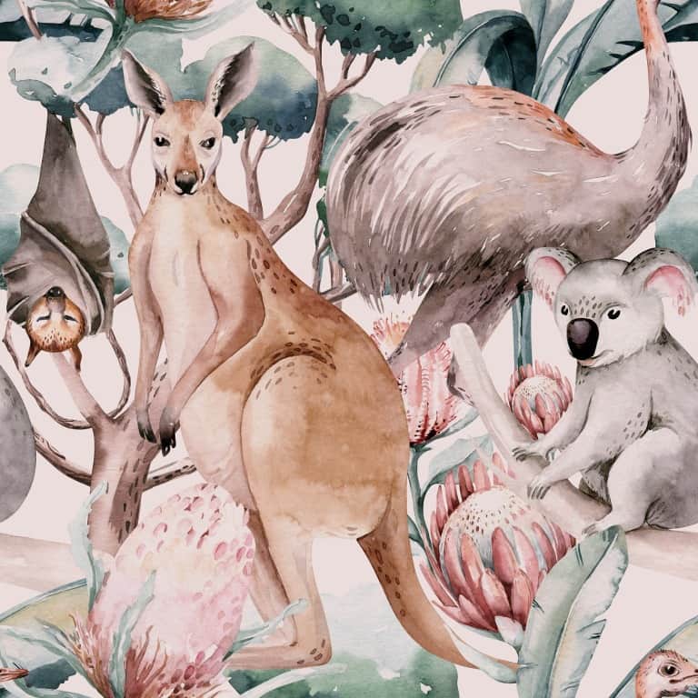 Fototapeta Australijskie Zoo