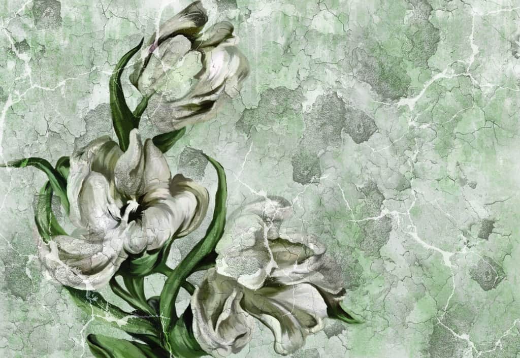 Fototapeta Pastelowy Tulipan