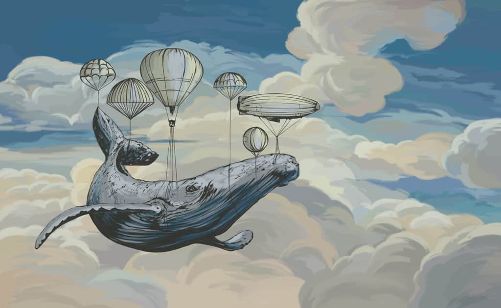 Fototapeta Balony Wieloryba