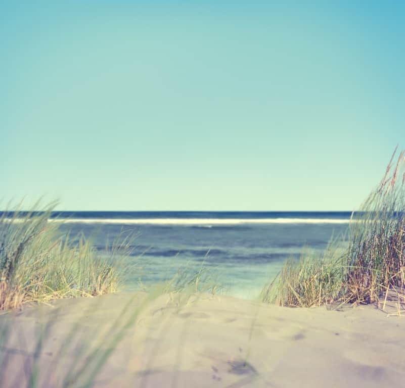 Fototapeta Trawiasta Plaża