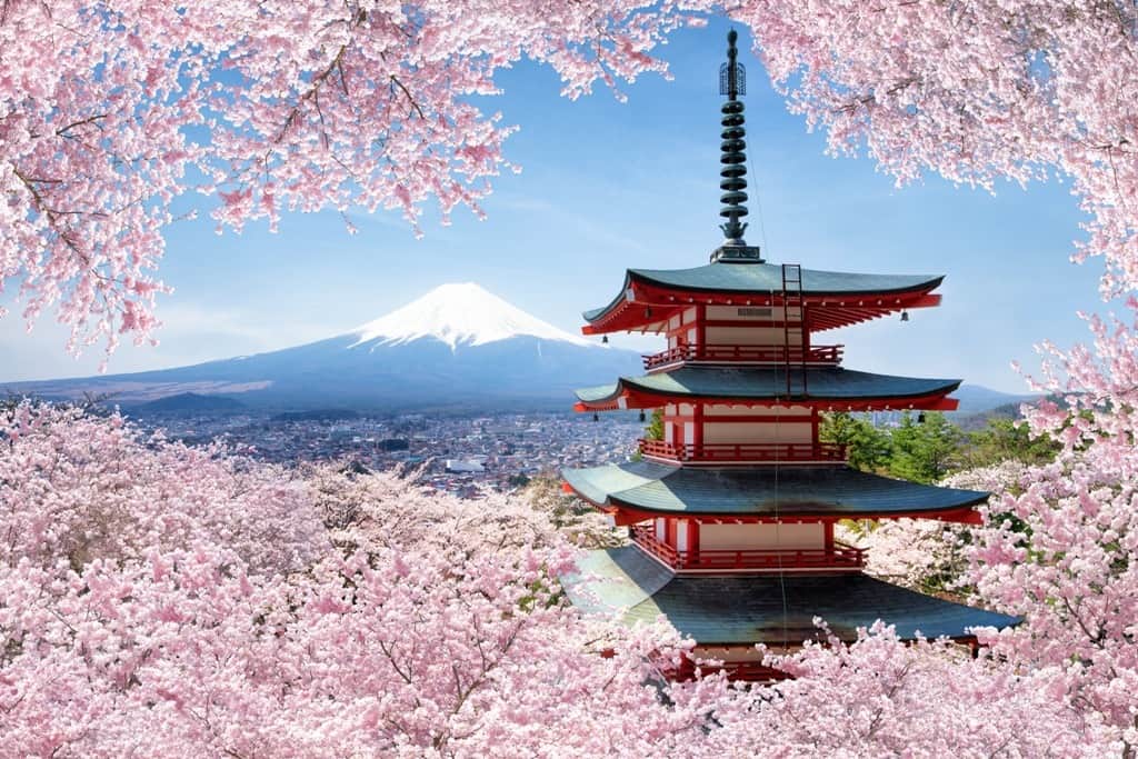 Fototapeta Wiśniowa Pagoda
