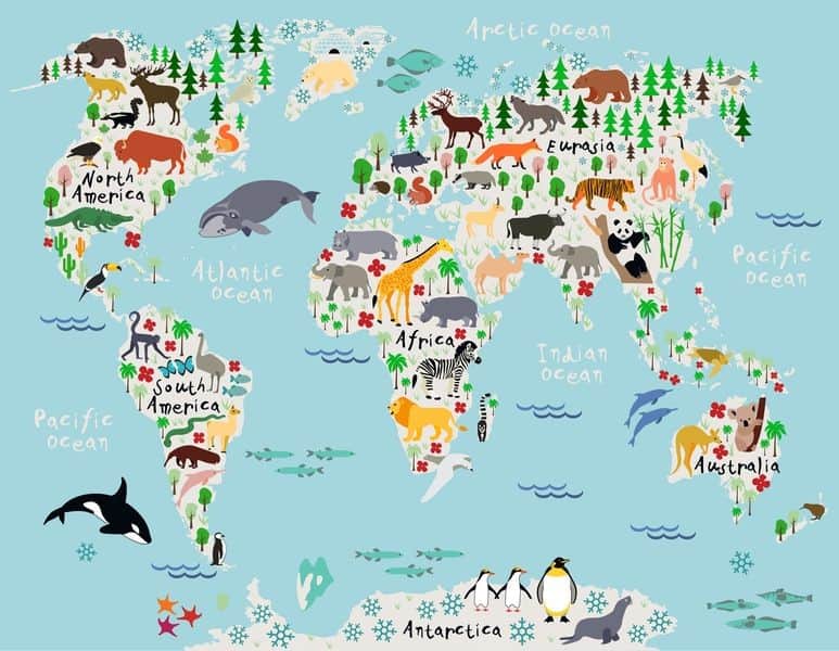 Fototapeta Mapa Świata