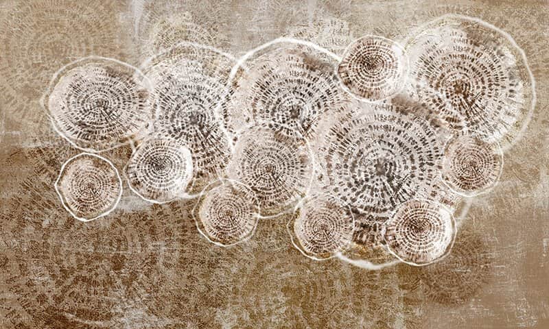 Fototapeta Ammonite