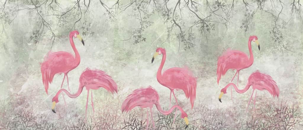 Fototapeta Flamingi Na Łące