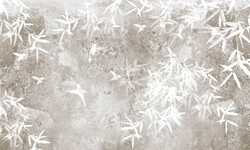 Fototapeta Białe Kolibry