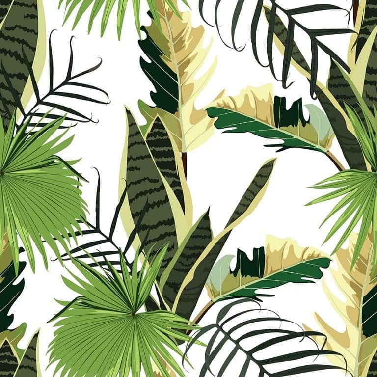 Fototapeta Liście Palmowe