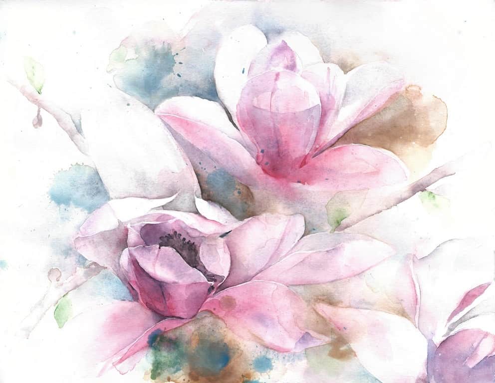 Fototapeta Rozkwitające Magnolie
