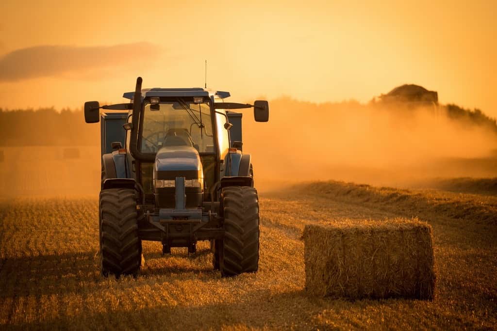 Fototapeta Traktor ze Snopkami