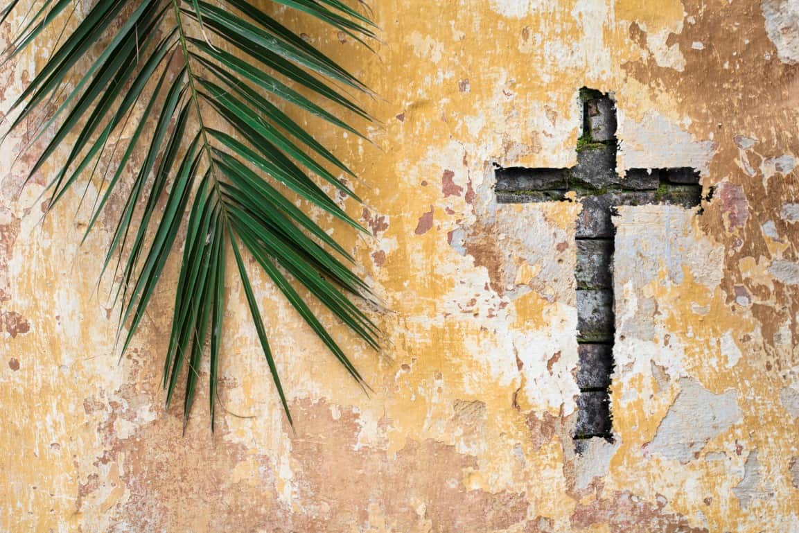 Fototapeta Niedziela Palmowa