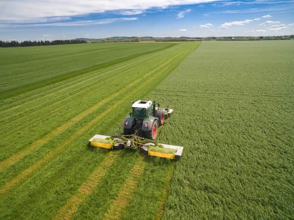 Fototapeta Traktor na Łące