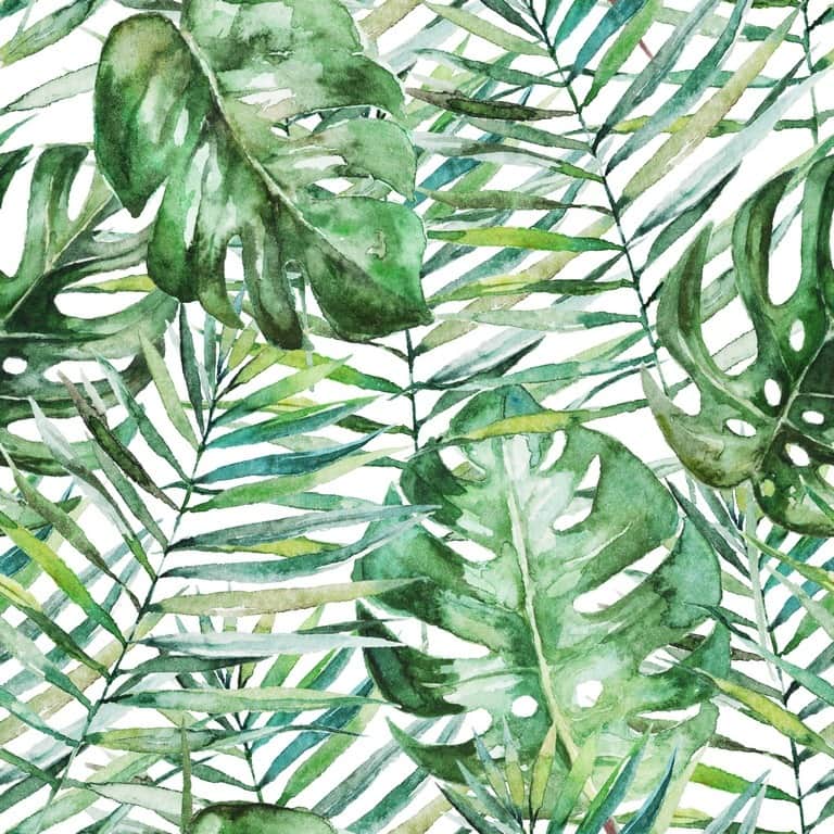 Fototapeta Tropikalne Liście Palm