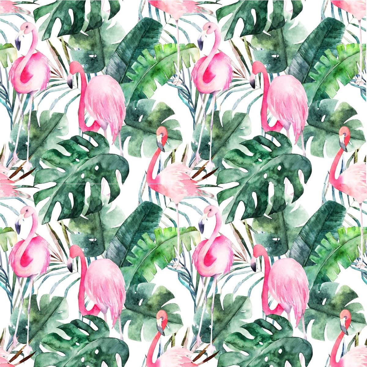 Fototapeta Tropikalne Flamingi