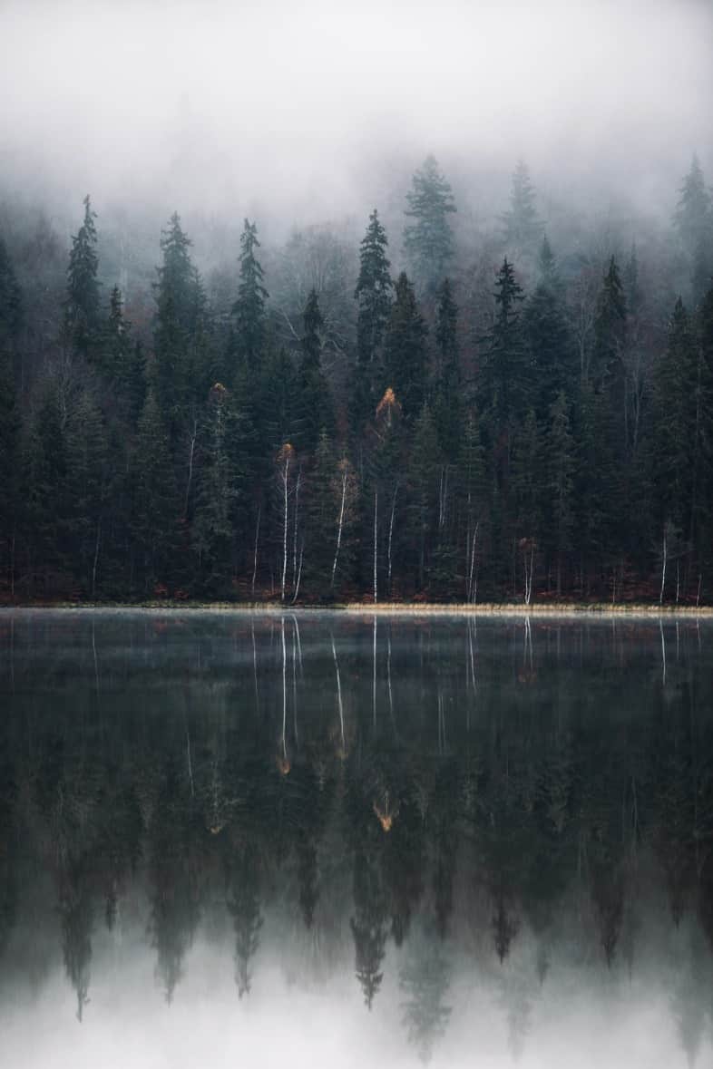 Fototapeta Ciemne Jezioro