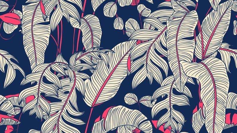 Fototapeta Botaniczna
