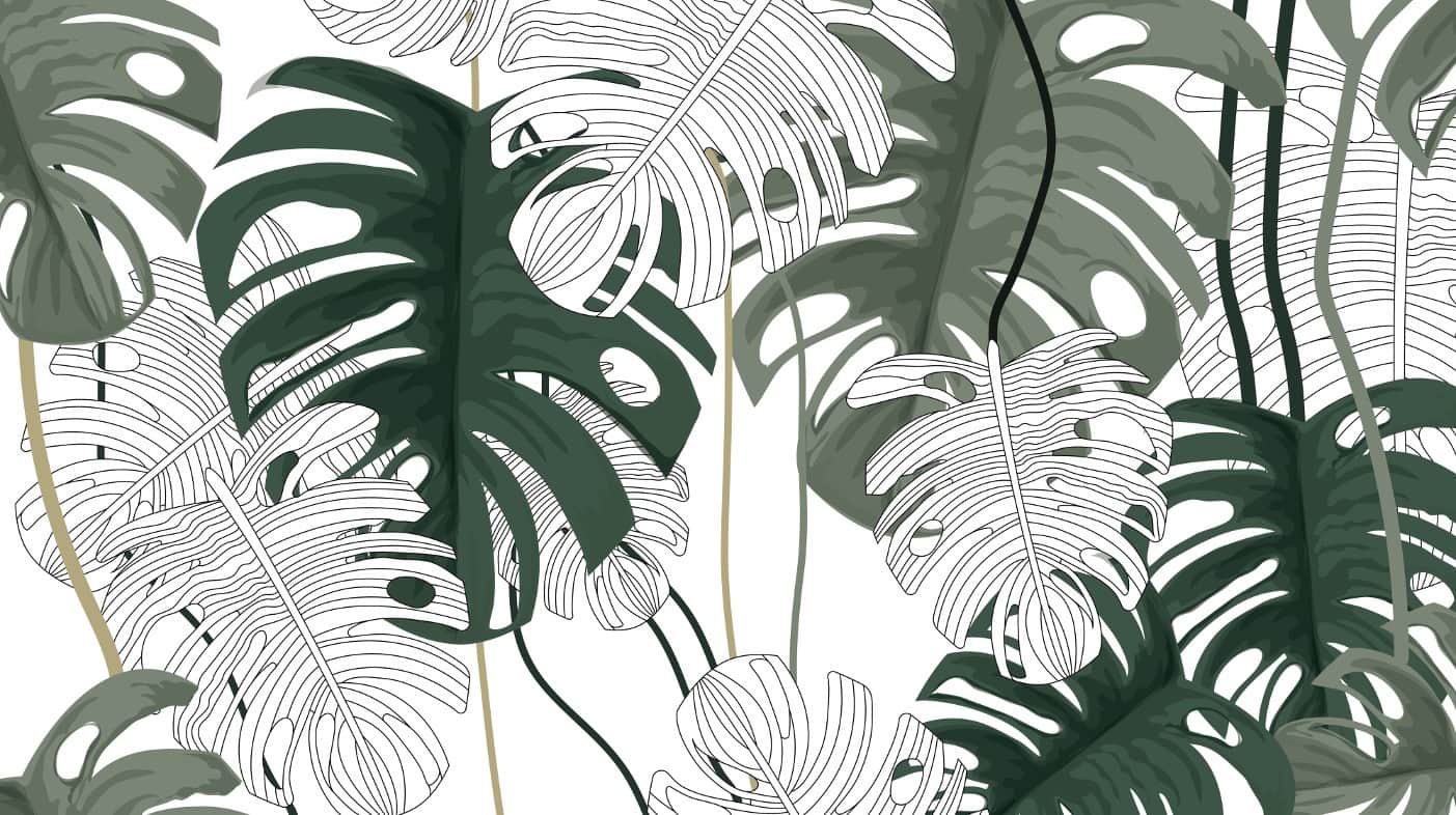 Fototapeta Botaniczna Kreska