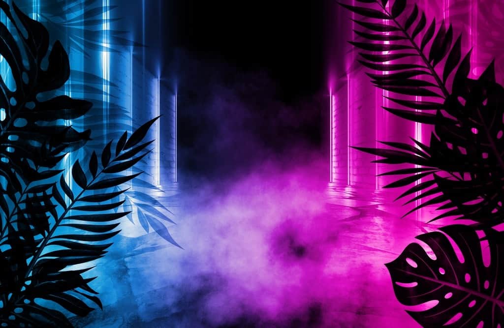 Fototapeta Tropikalny Neon