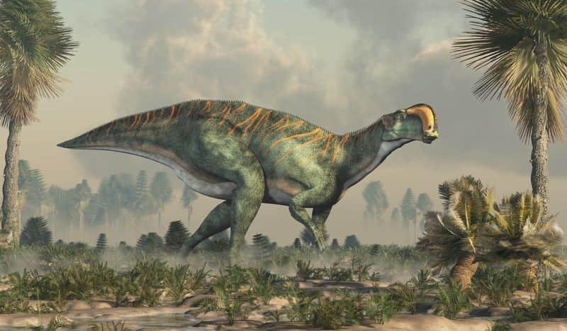 Fototapeta Dinozaur