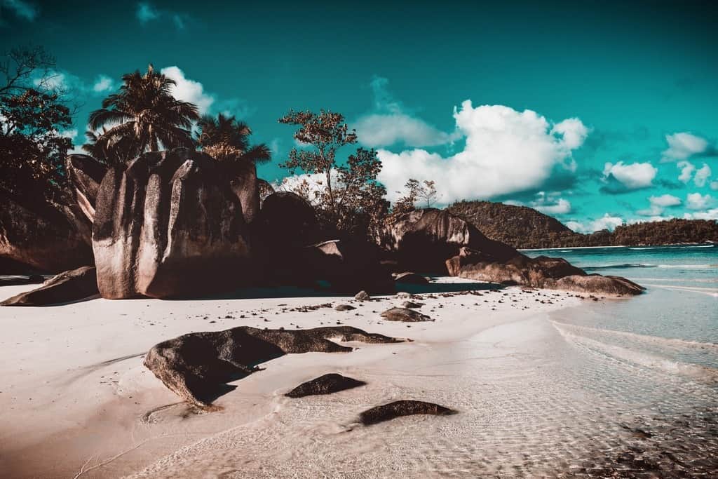 Fototapeta Plaża na Seszelach