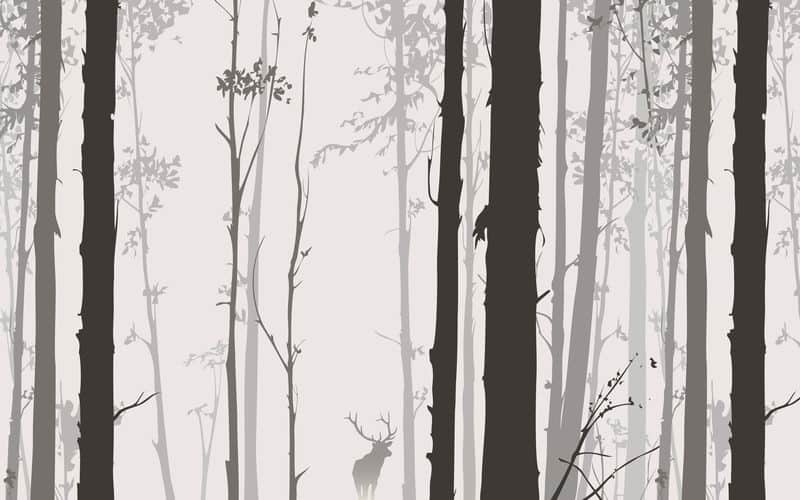 Fototapeta Leśna Ilustracja