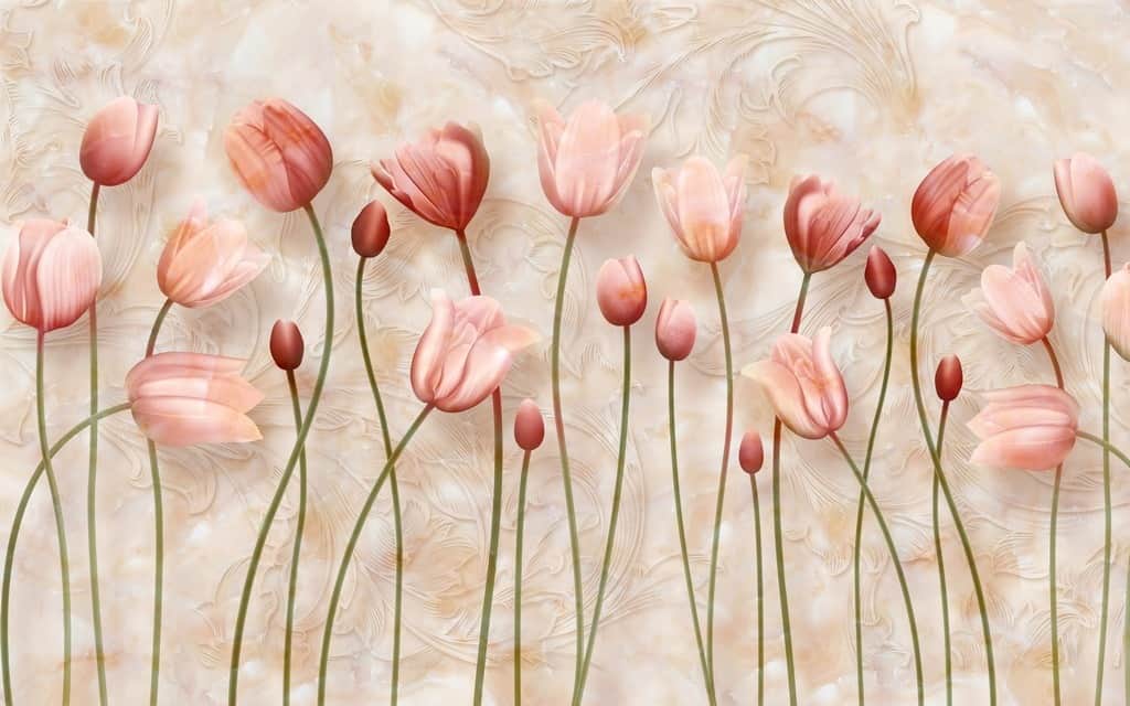 Fototapeta Różowe Tulipany