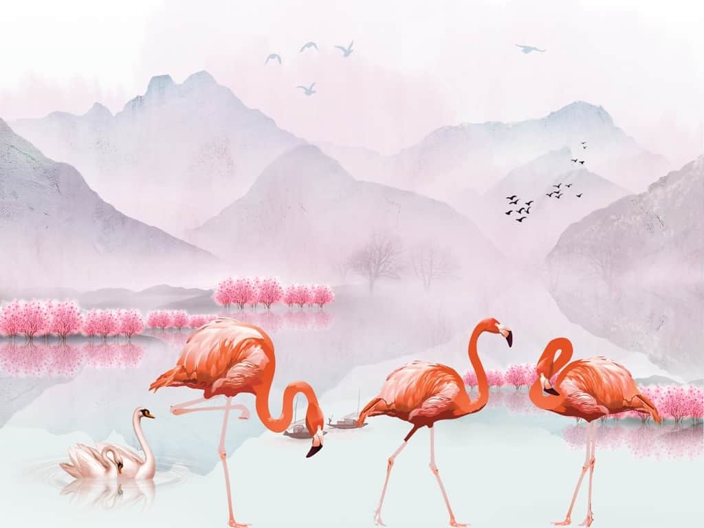 Fototapeta Trzy Flamingi