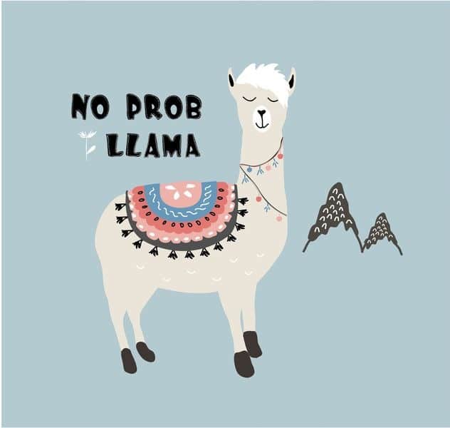 Fototapeta Urocza Lama