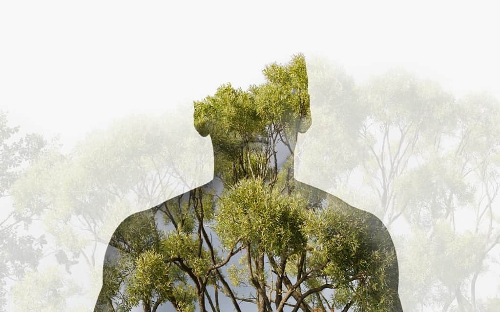 Fototapeta Zielone Oblicze