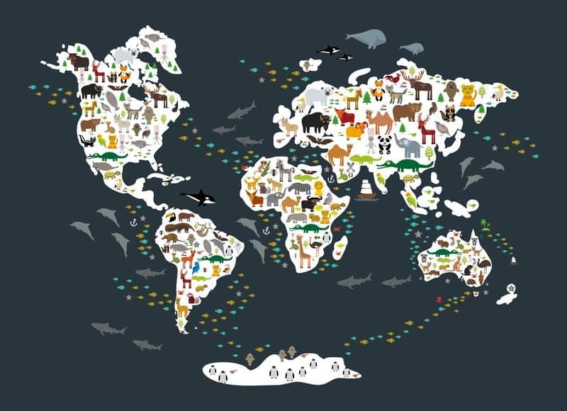 Fototapeta Mapa Świata