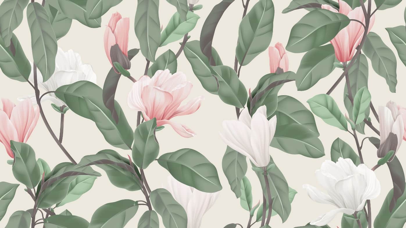 Fototapeta Piękna Magnolia