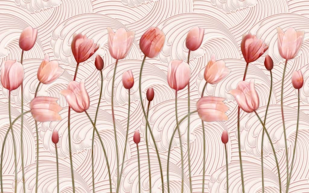 Fototapeta Tulipanowe Pole