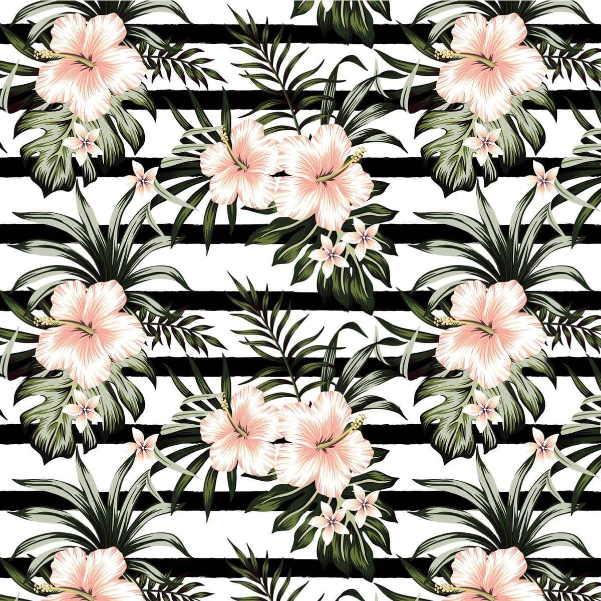 Fototapeta Różowy Hibiskus