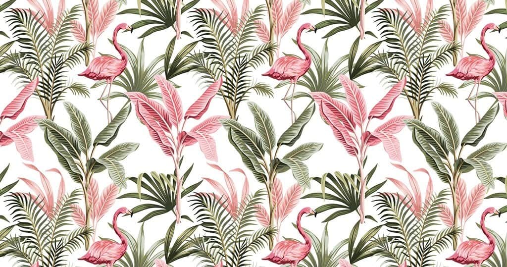 Fototapeta Flamingi