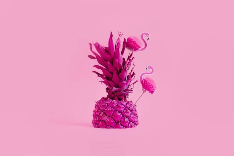 Fototapeta Różowy Ananas