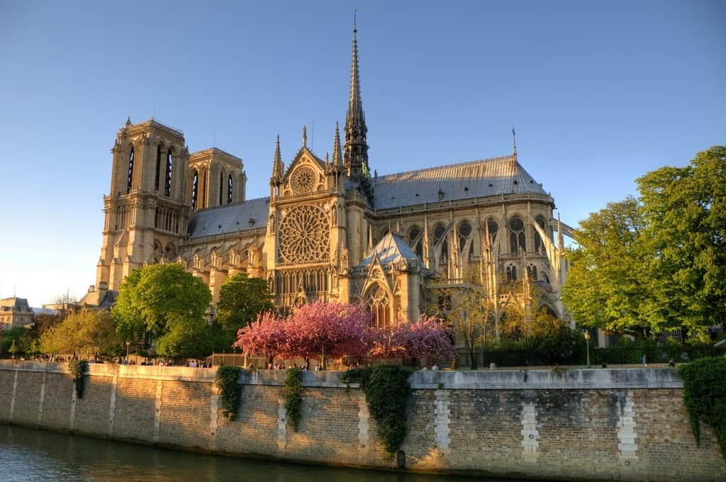 Fototapeta Katedra Notre Dame