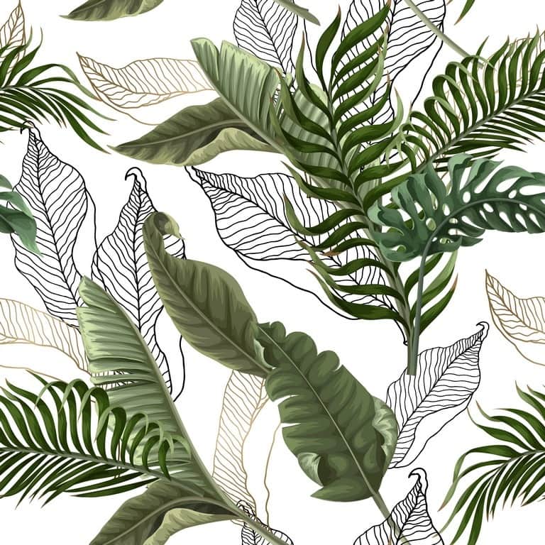 Fototapeta Tekstura Tropikalnych Palm