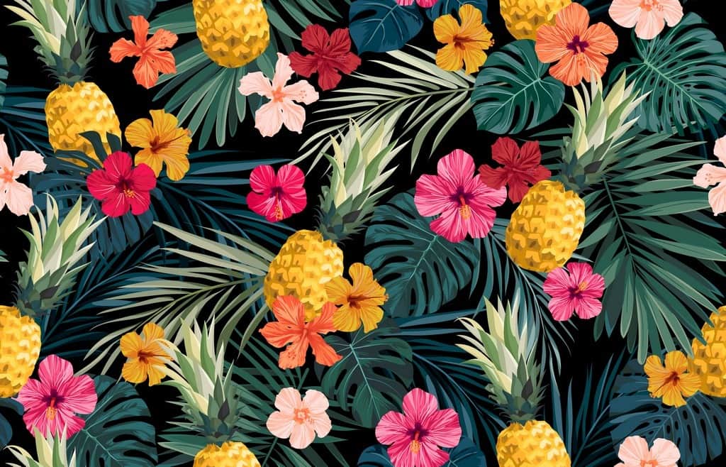 Fototapeta Hibiskus i Ananas