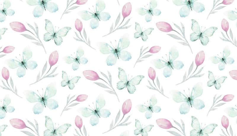 Fototapeta Motyle i Tulipany